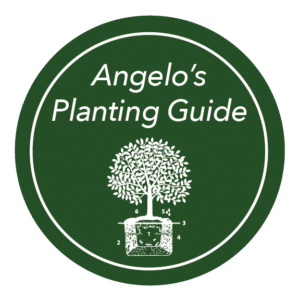 Gardening Guide Icon