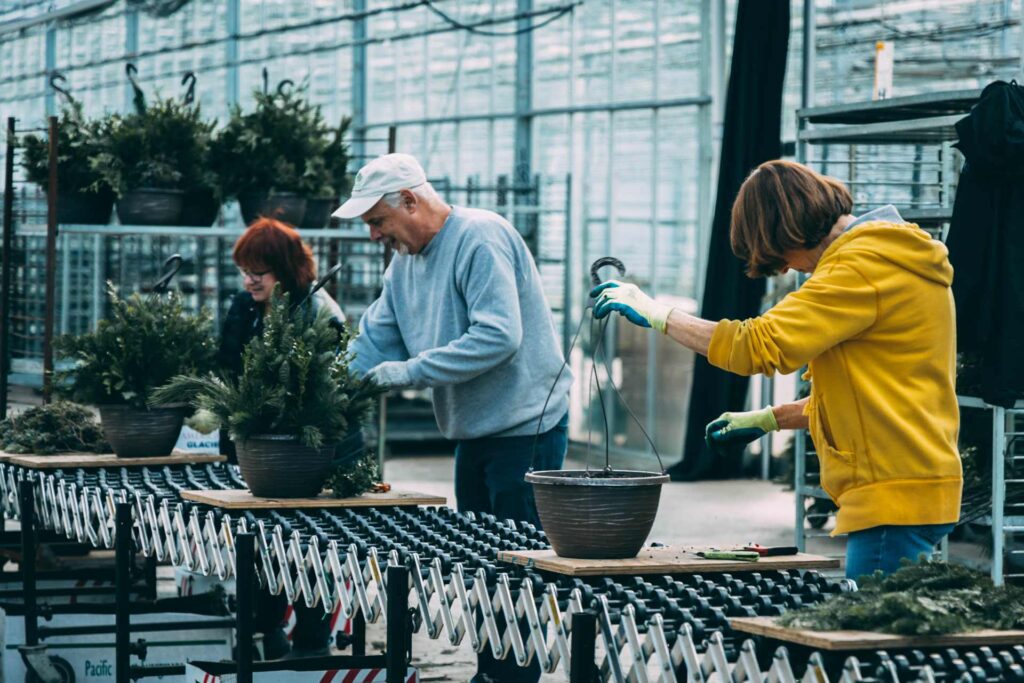 Holiday Planters &amp; Greens | Petitti Garden Centers
