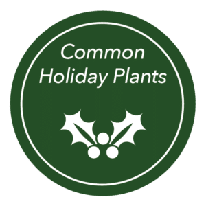 Gardening Guide Icon