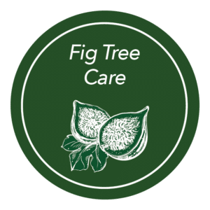 Gardening Guide Icon