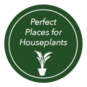 Gardening Guide Icon