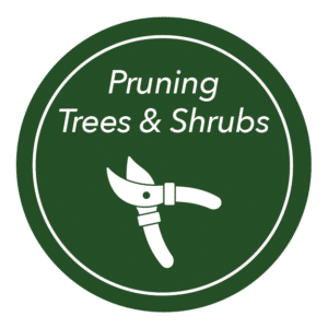 Gardening Guide Icon