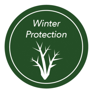 Gardening Guide Icon