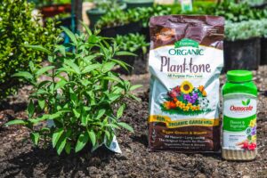 Planting Success Products