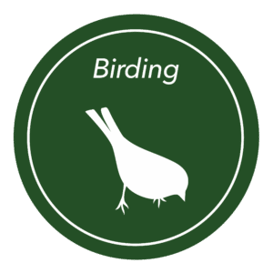 Birding Icon